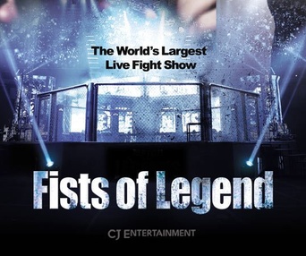 Affiche du film Fists of Legend