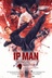 Affiche du film Ip Man: Kung Fu Master
