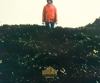 Affiche du film Enys Men