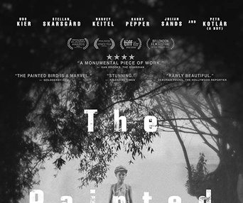Affiche du film L'oiseau bariolé