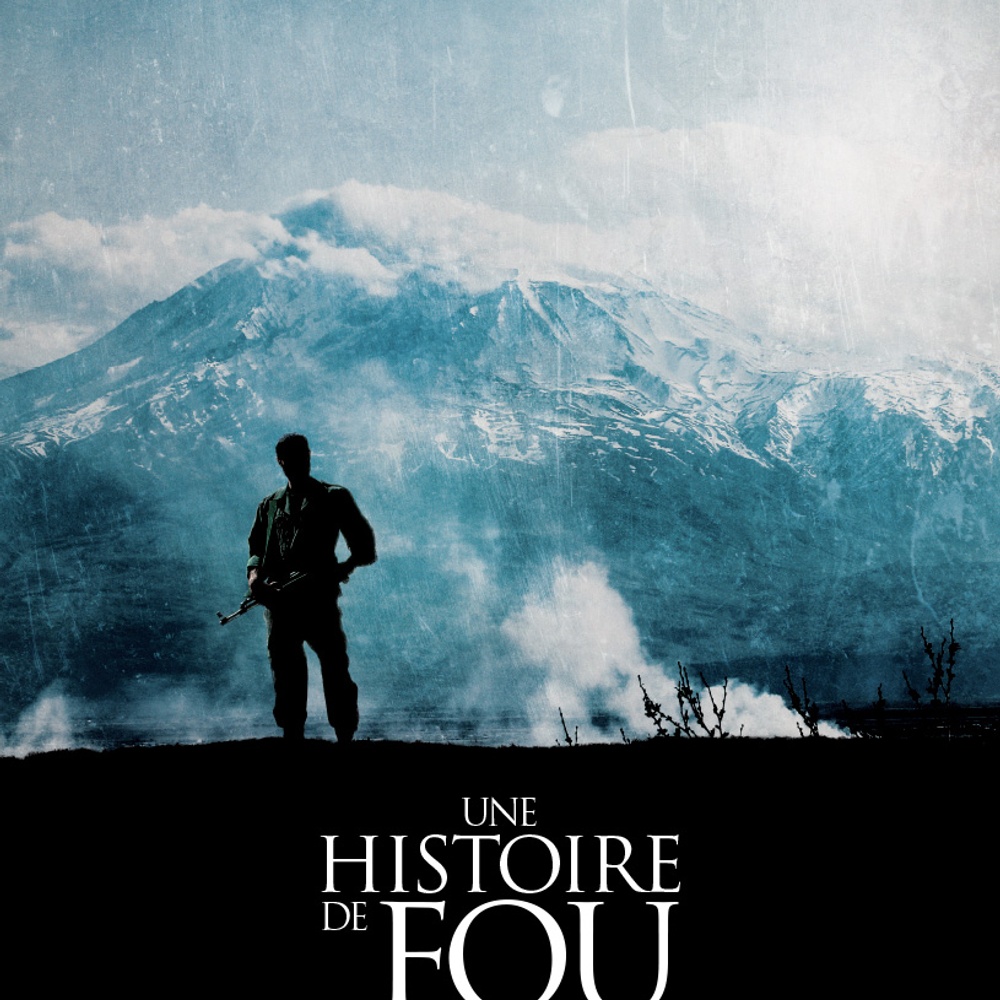 Affiche du film Une histoire de fou