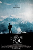 Affiche du film Une histoire de fou