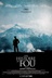 Affiche du film Une histoire de fou