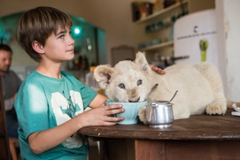 Une scène du film Mia et le lion blanc