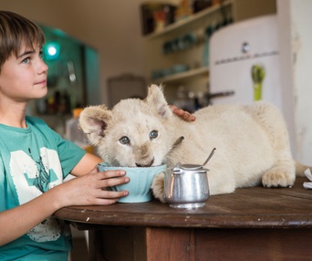 Une scène du film Mia et le lion blanc