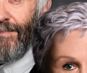 Affiche du film The Wife