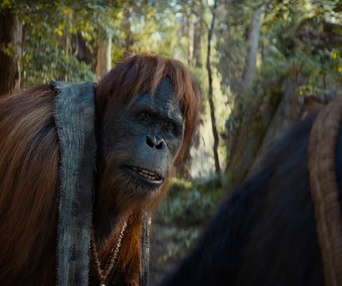 Image du film Kingdom of the Planet of the Apes