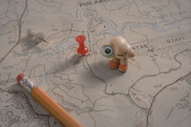 Image du film Marcel the Shell With Shoes On Image du film Marcel the Shell With Shoes On