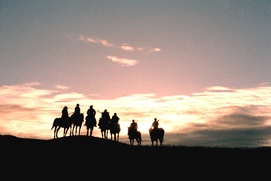 Scène du film