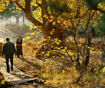 Une scène du film The Wild Pear Tree