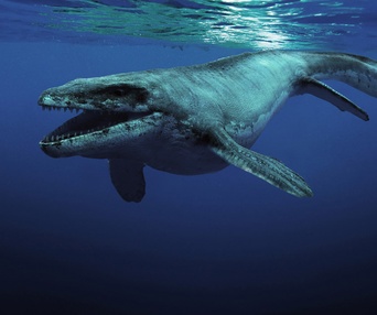 Une scène du film Sea Rex: Journey to a Prehistoric World 3D