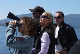 Une scène du film Blackfish