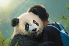 Affiche du film Moon the Panda