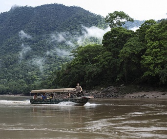 Une scène du film The Green Inferno