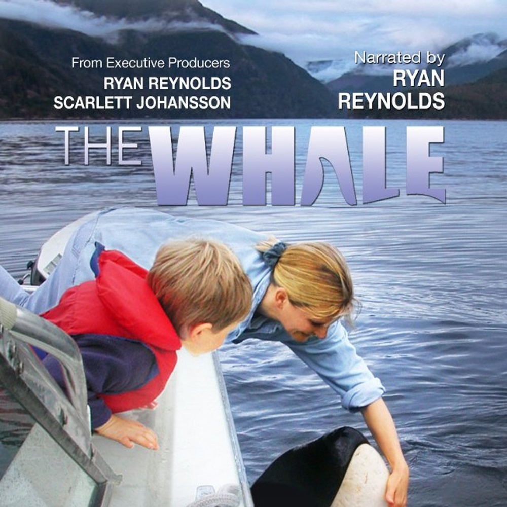 Affiche du film The Wale