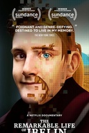 Affiche du film La vie remarquable d'Ibelin