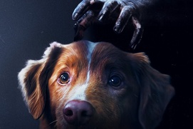 Image du film Good Boy Image du film Good Boy