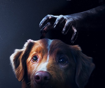 Image du film Good Boy