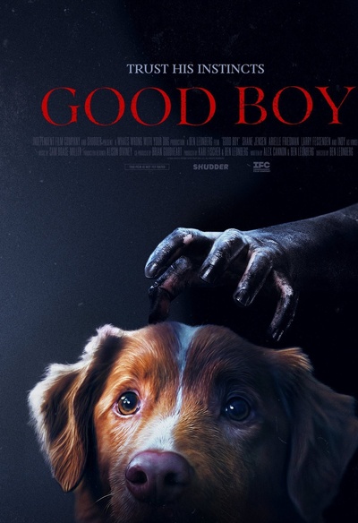 Good Boy