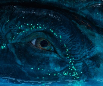 Image du film Avatar: Fire and Ash