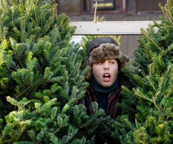 Une scène du film Sapin$