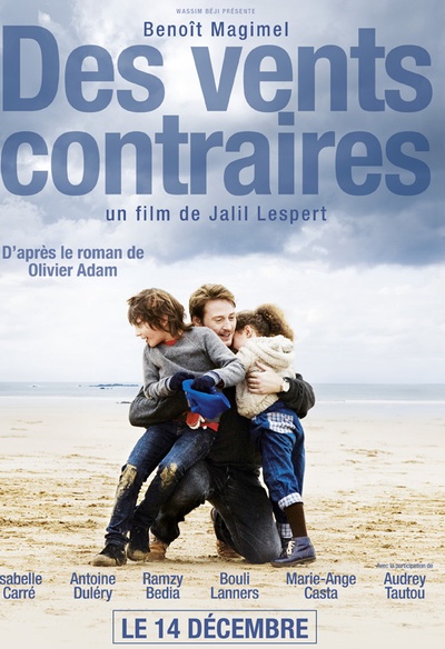 Affiche du film Des vents contraires