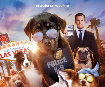 Affiche du film Chiens sous enquête
