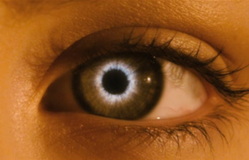 Image tirée de la pré-bande-annonce du film The Host