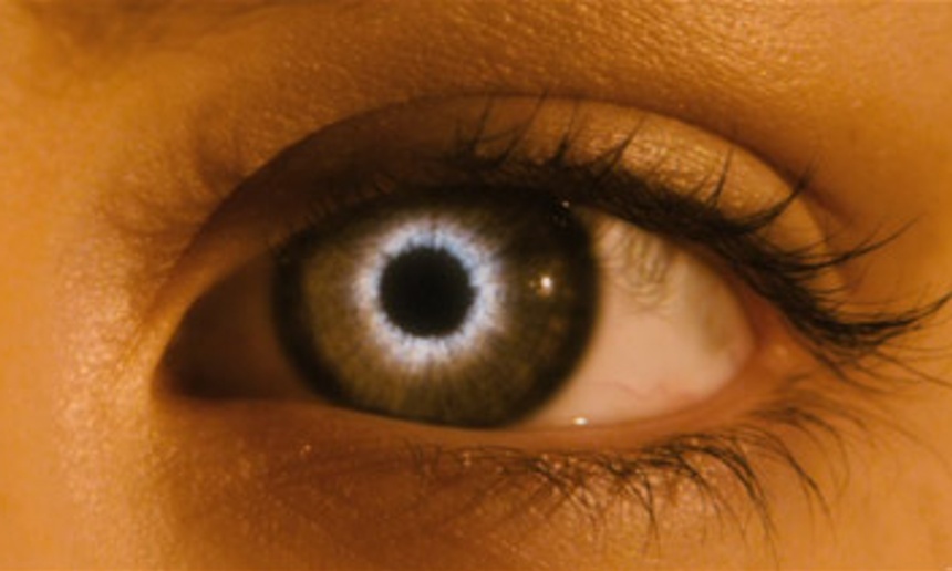 Pré-bande-annonce du film The Host