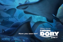 Affiche du film Finding Dory Affiche du film Finding Dory