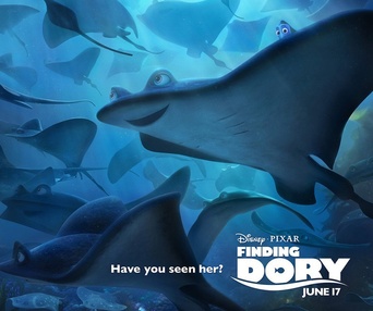 Affiche du film Finding Dory