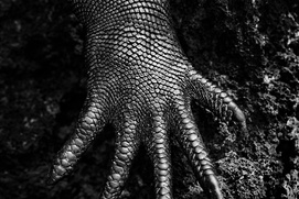 Une scène du film The Salt of the Earth