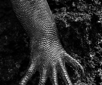 Une scène du film The Salt of the Earth