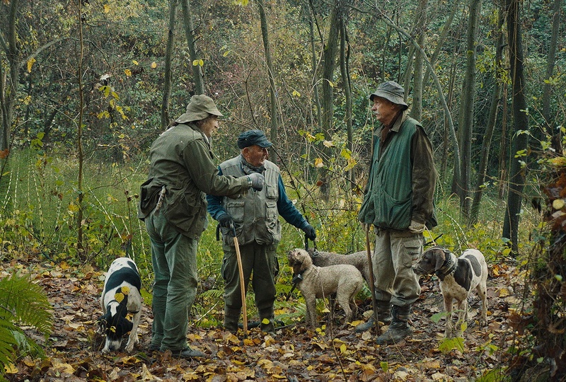 Une scène du film The Truffle Hunters