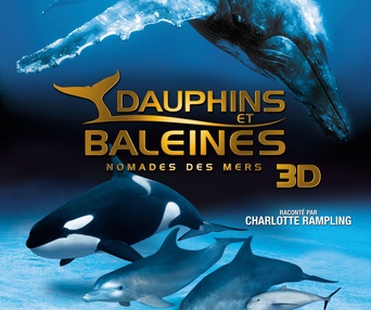 Affiche du film Dauphins et baleines 3D
