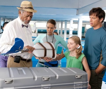 Une scène du film Dolphin Tale