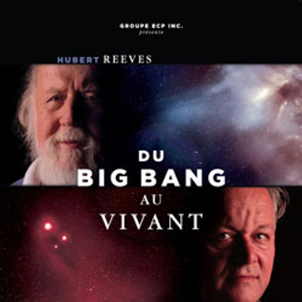 Affiche du film Du Big Bang au vivant