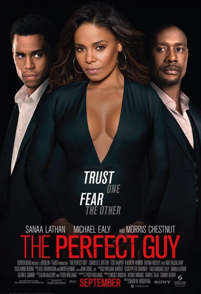 Affiche du film The Perfect Guy