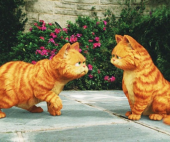 Scène du film Garfield Pacha Royal