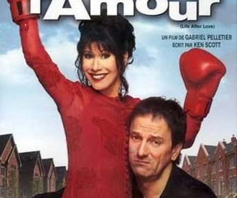 Affiche du film La vie après l'amour