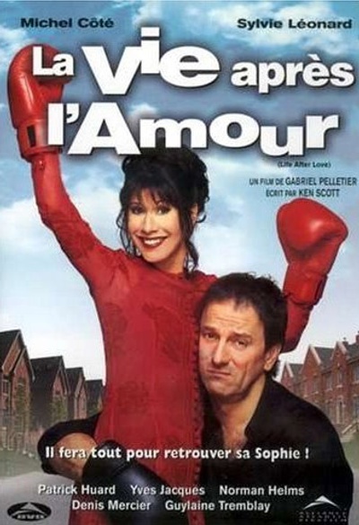 Affiche du film La vie après l'amour