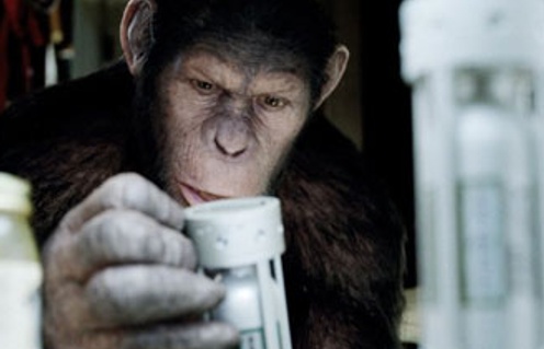 Une scène du film Rise of the Planet of the Apes
