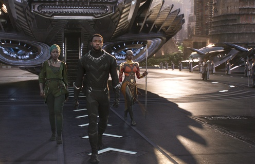 Une scène du film The Black Panther