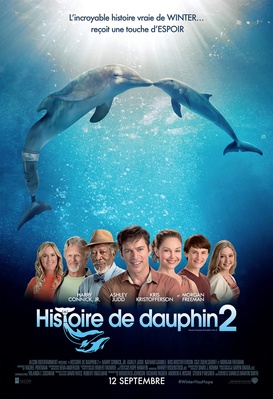 Histoire de dauphin 2