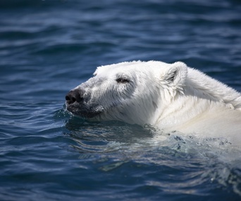 Une scène du film Under Thin Ice