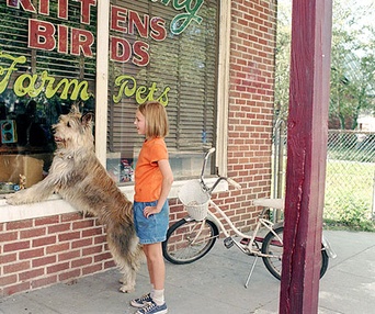 Scène du film Winn-Dixie