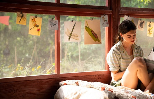 Une scène du film Where the Crawdads Sing