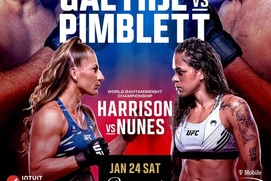 Image du film UFC 324