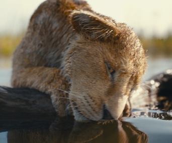 Une scène du film Mufasa: The Lion King