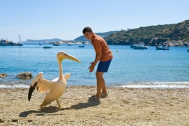 Une scène du film Nicostratos le pélican Une scène du film Nicostratos le pélican
